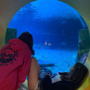 Meet your Posher, Abby